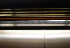 日本动漫电梯小姐