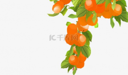 橘子动漫,青春校园的甜蜜旋律